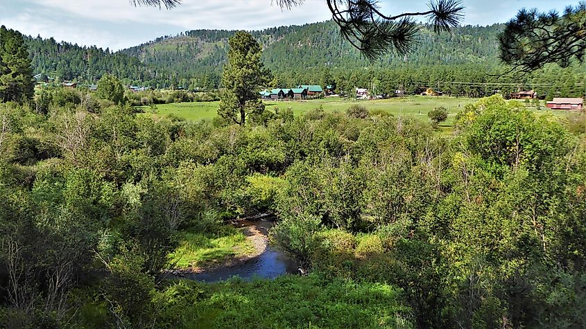 River and greenery in Greer, Arizona