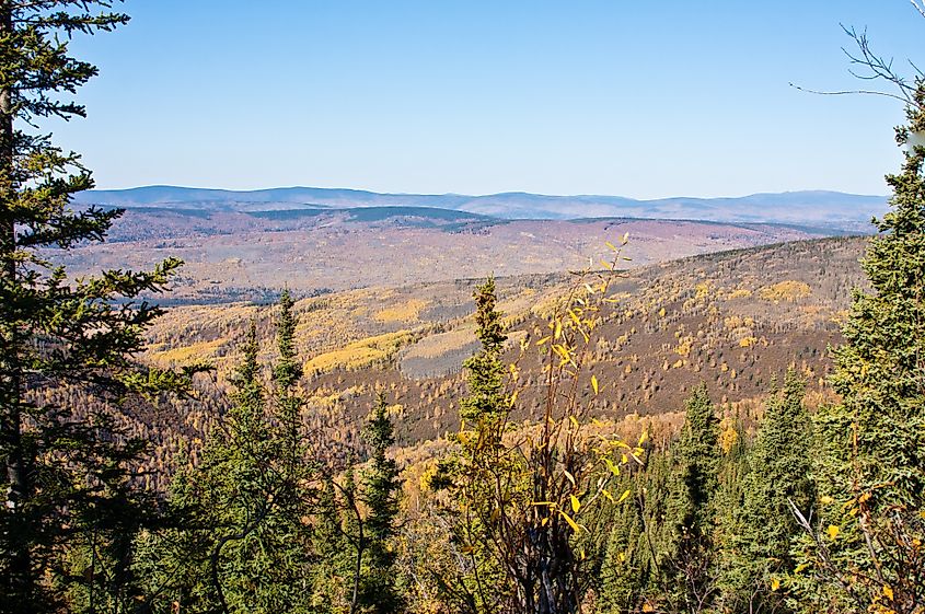 Autumn landscape of Ester Dome near Fairbanks, Alaska, with vast hills covered in orange and yellow foliage