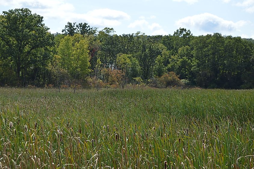 Millbrook Marsh Nature Center