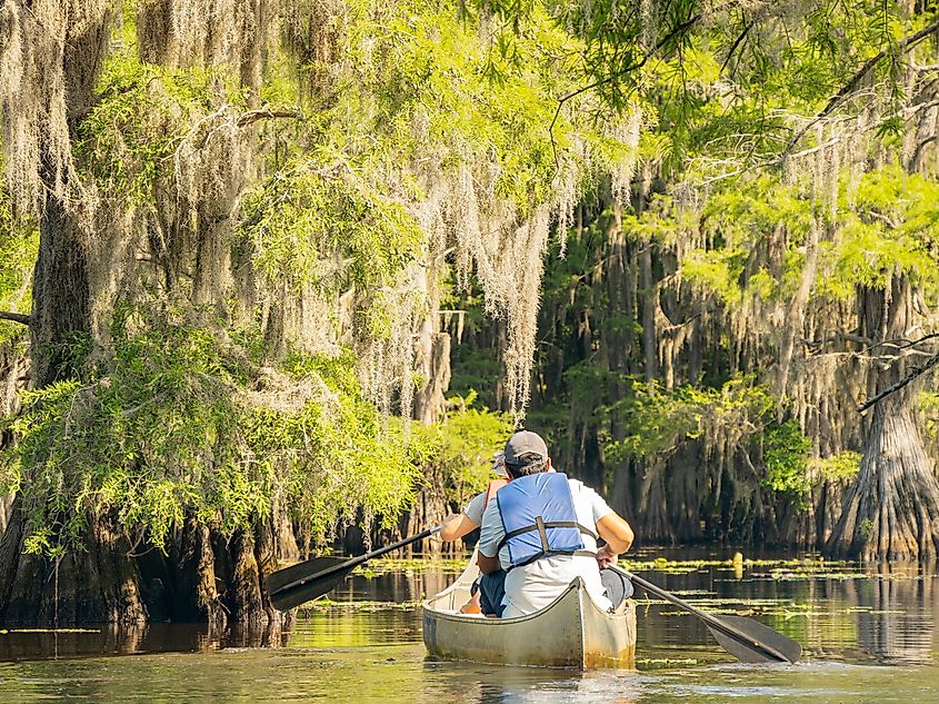 Caddo Lake near Karnack, Texas