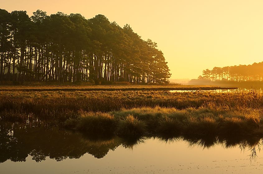 A golden sunrise casts a warm glow over the salt marsh at Chincoteague National Wildlife Refuge in Virginia.