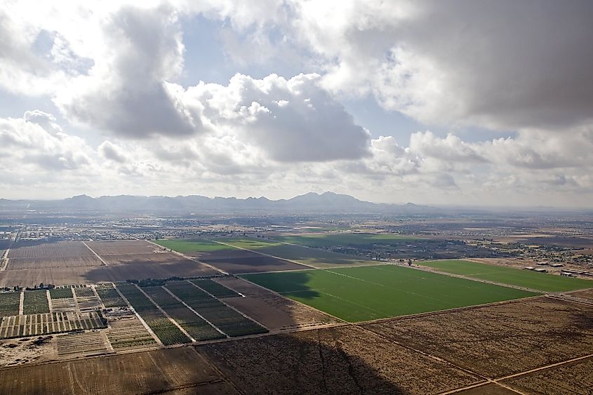 Aerial view of agricultural fields near Queen Creek, Arizona.