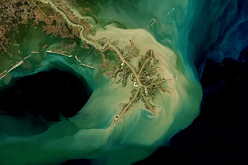 The Mississippi River delta reaching into the Gulf of Mexico.