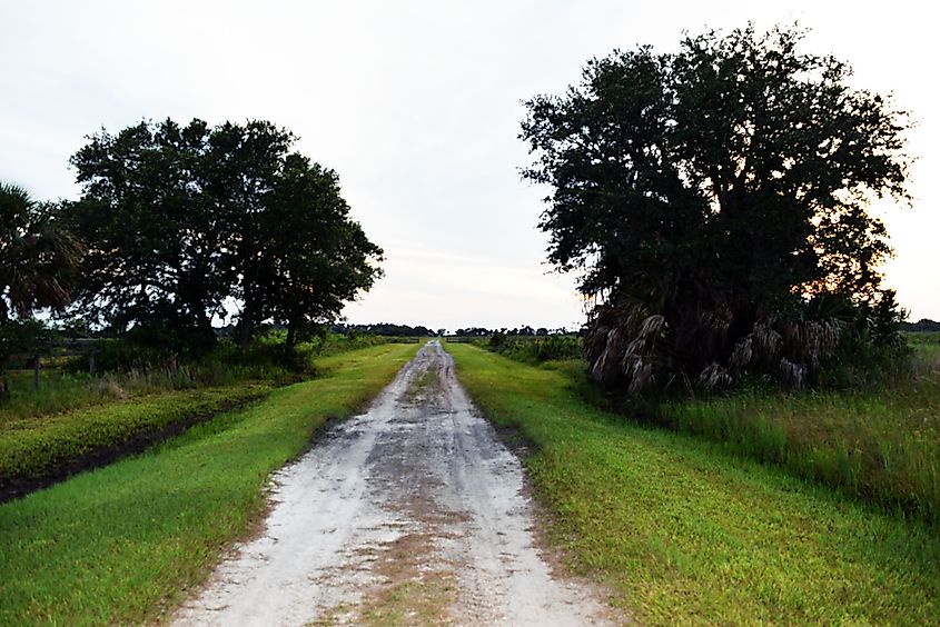 Kissimmee Prairie Preserve State Park