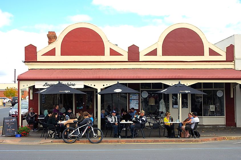 Tourist in a cafe in Strathalbyn, South Australia, Australia