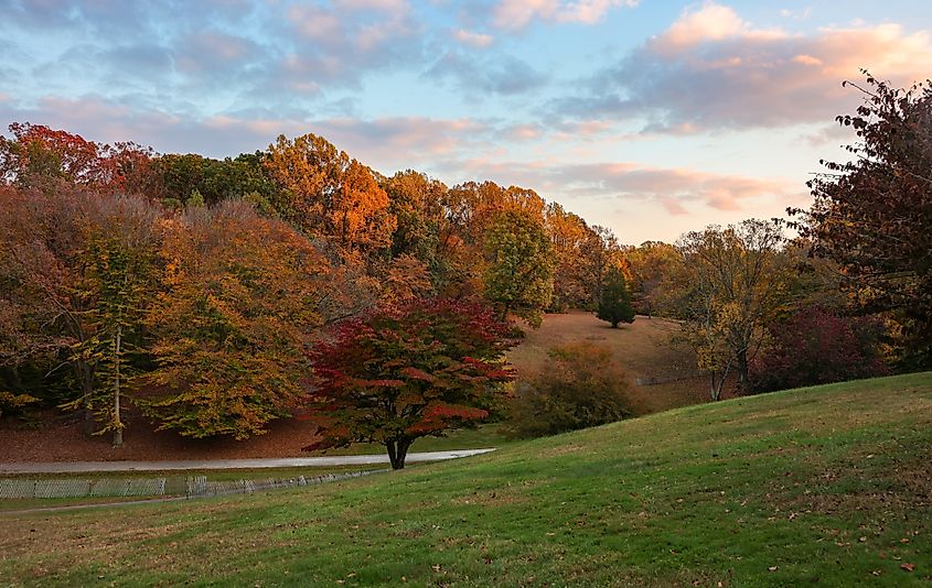 Greenville, Delaware.