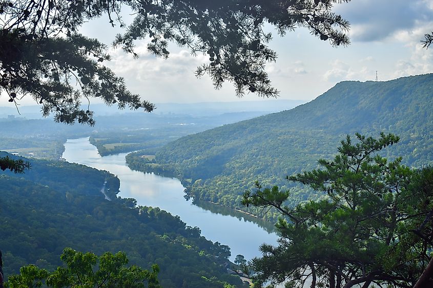 Tennessee River Gorge at Summertime.