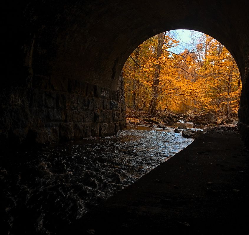 A dark tunnel leading to an autumn forest in Arden, Delaware. 
