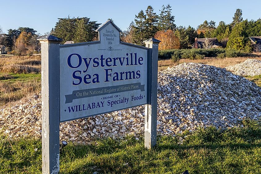 Oysterville, Washington, USA: A "Sea Farms" sign in Oysterville.