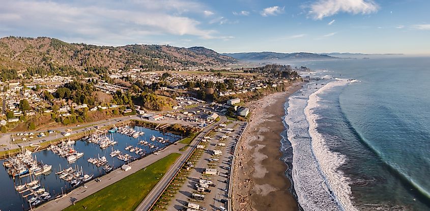 Beach Scene in Brookings Oregon