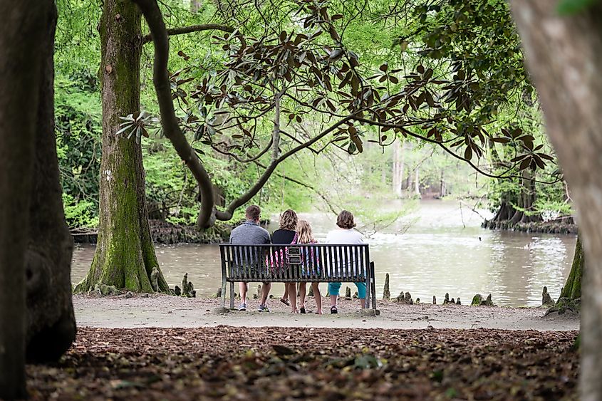 Family enjoying a day in the park in Sumter, South Carolina