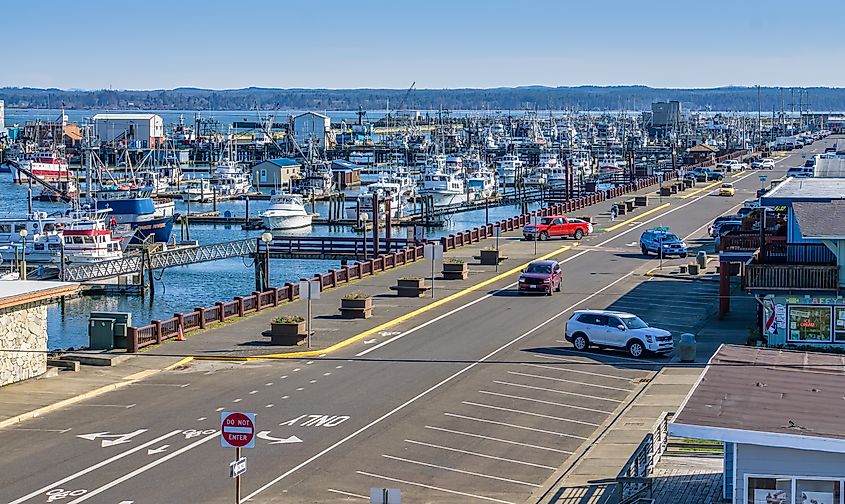 Boats packed tightly into the marina at Westport, Washington.