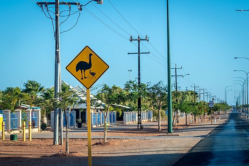 Caution Emu birds street sign in Exmouth Australia
