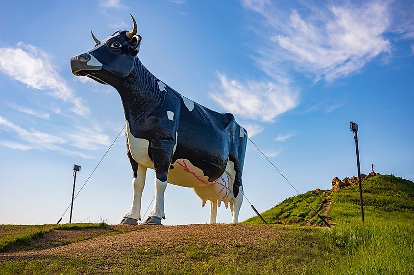 Salem Sue in New Salam, North Dakota.