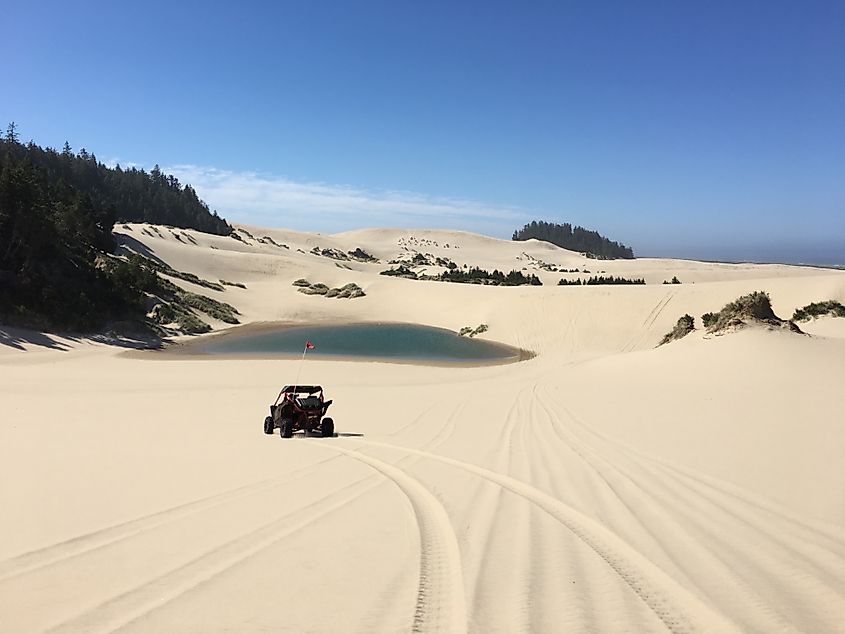 Person riding sand dunes in Oregon