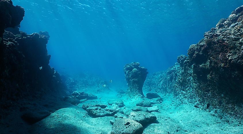 Underwater view of rock formations along the ocean floor in the Pacific Ocean.