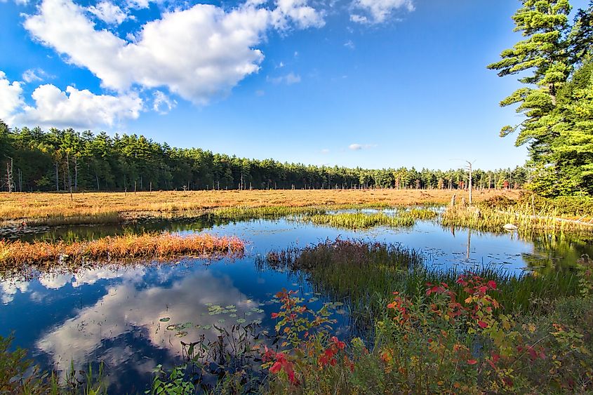 A beautiful wooded marsh in Pawtuckaway State Park with cloud reflections and autumn colors.