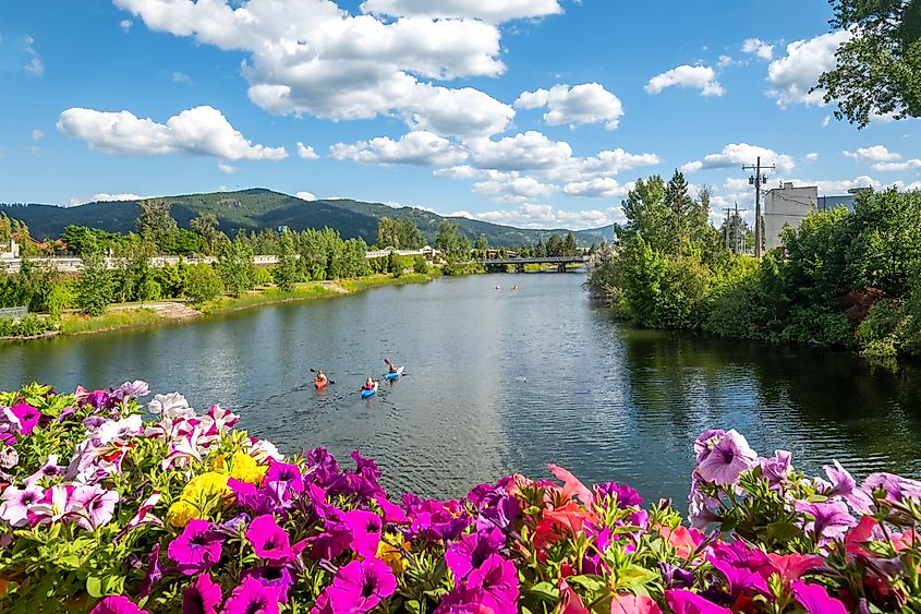 A group of kayakers enjoy a beautiful summer day on Sand Creek River and Lake Pend Oreille in the downtown area of Sandpoint, Idaho, USA.