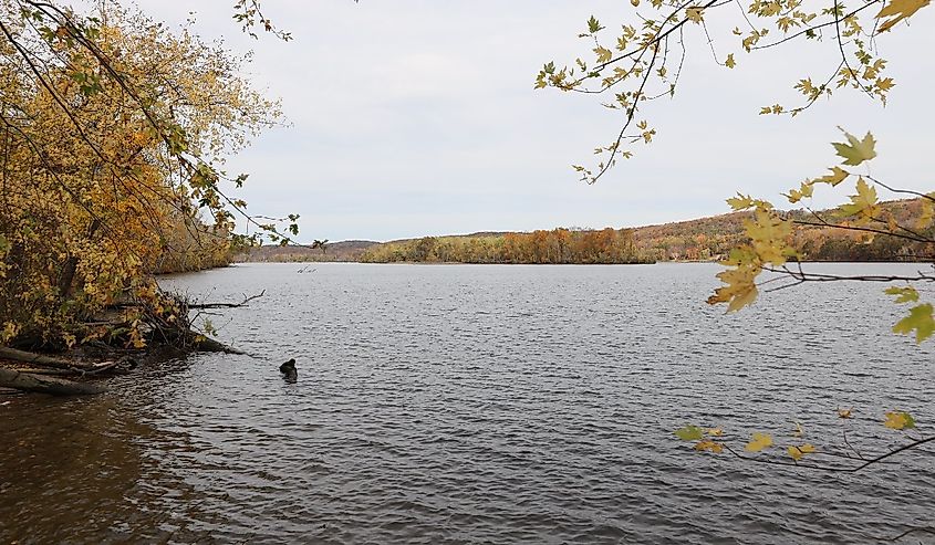 Looking up-river at Haddam Island from the Meadows