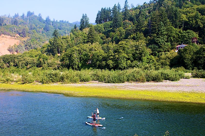 People paddle boarding in Gold Beach, Oregon.