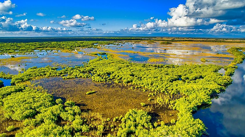 A panoramic aerial view of Everglades National Park, Florida