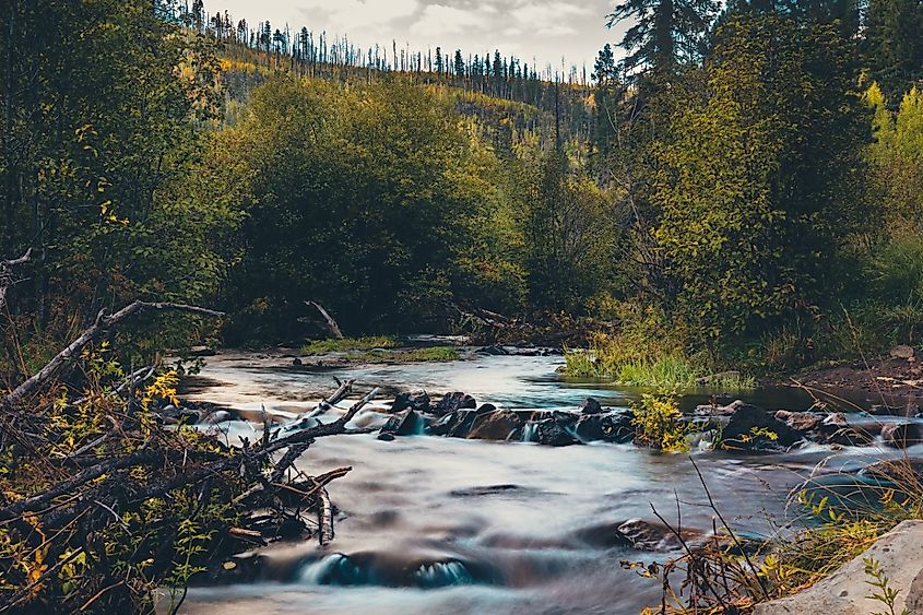 The scenic nature of Little Colorado River in Greer in the morning, Arizona.