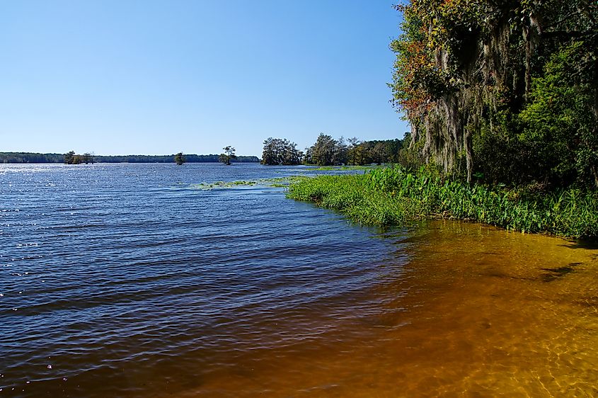 The Lake Talquin State Park and Forest 