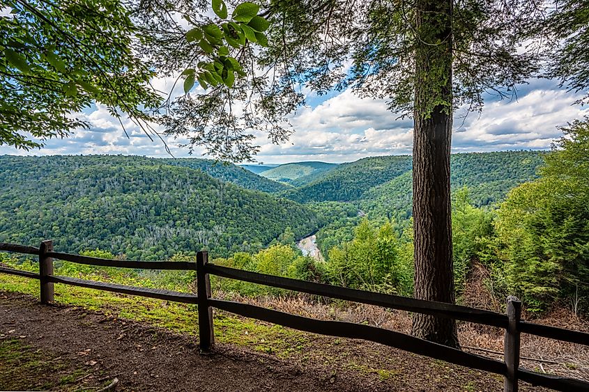 View from Canyon Vista overlook in Worlds End State Park.