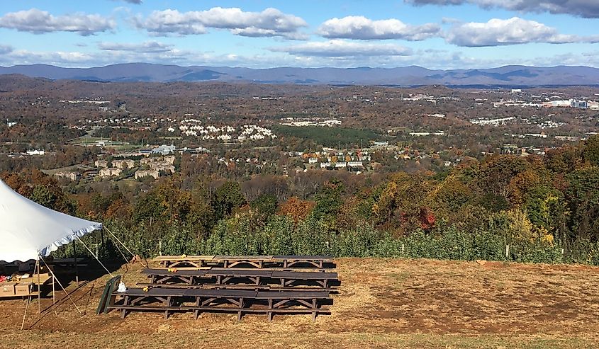 Carter’s Mountain Apple Orchard Family Trip November