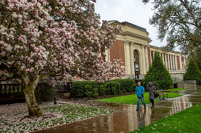 A rainy day in the OSU Campus in Corvallis, Oregon