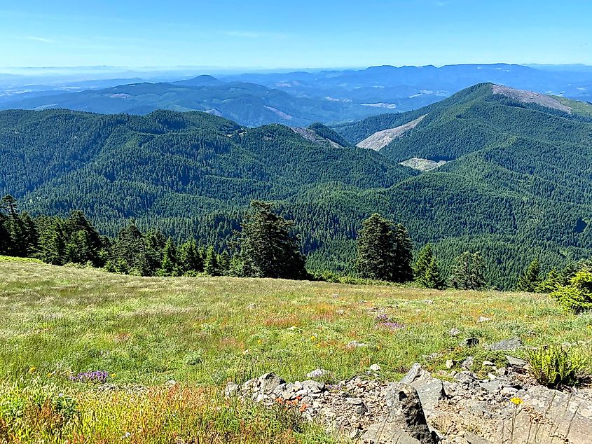 St. Mary's Peak in Corvallis, Oregon