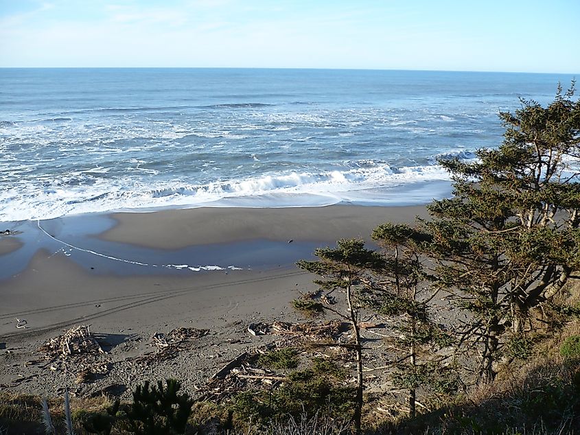 Centerville Beach, California.
