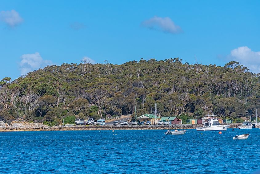 Boats moored at Pirates Bay in Tasmania, Australia, set against a backdrop of rugged cliffs and calm, clear waters, creating a tranquil coastal scene.