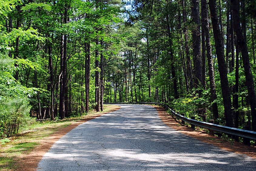 Ouachita National Forest's Mountain Pine Road in Arkansas