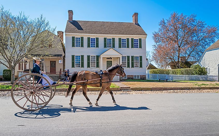 Woman riding a horse and buggy in front of a historic building in Williamsburg, Virginia