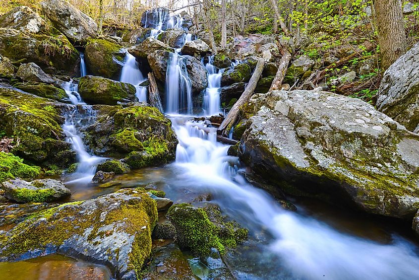 Dark Hollow Falls, Shenandoah National Park, VA, USA.