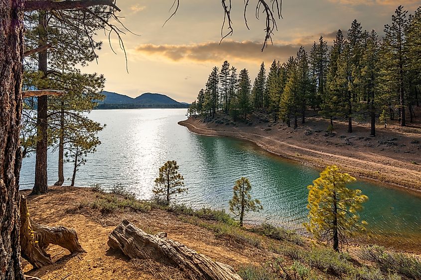 Lake Davis is located 7 miles north of Portola, California. (Credit: Senatorek via Shutterstock)