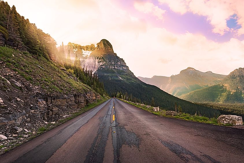 On the Going to the Sun Road in Montana, with bright sunlight streaming through the trees.