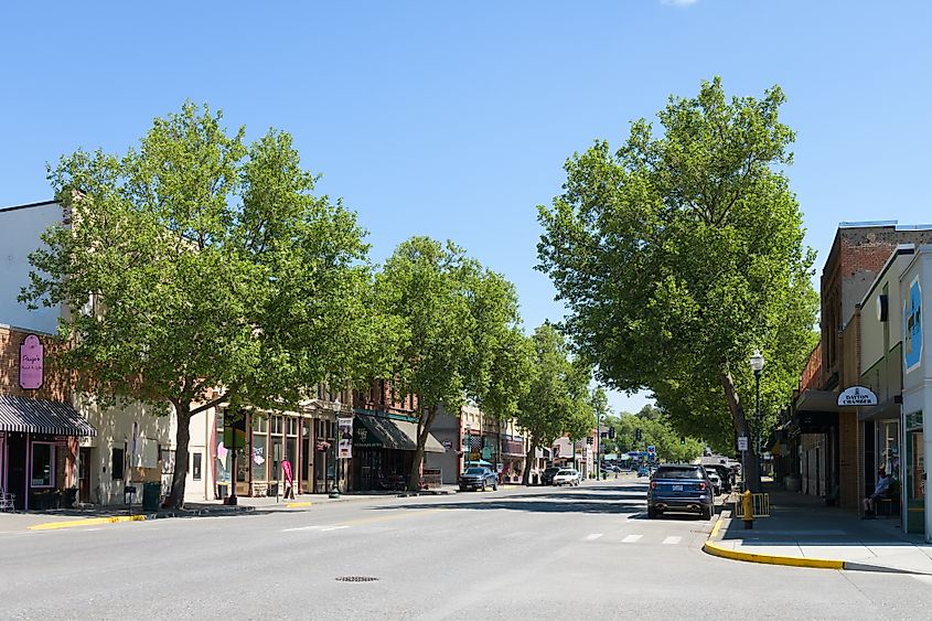 Trees and stores along Main Street in Dayton, Washington. Editorial credit: Ian Dewar Photography / Shutterstock.com