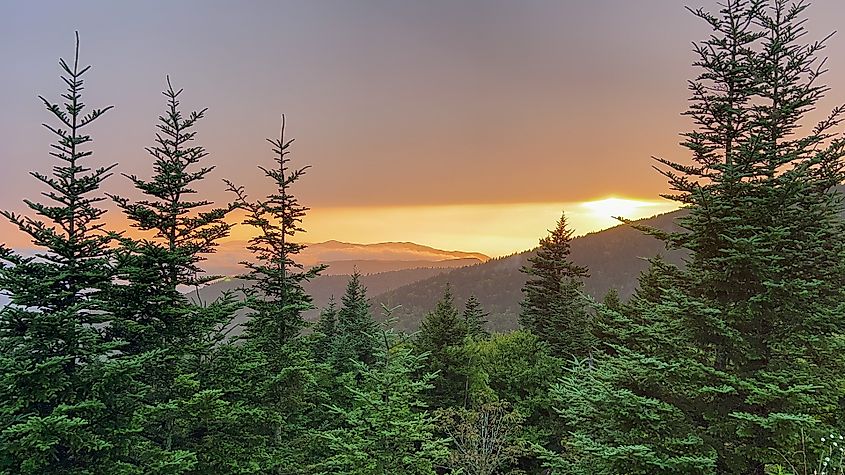 A golden sunset over the Smoky Mountains from Clingmans Dome in Great Smoky Mountains National Park