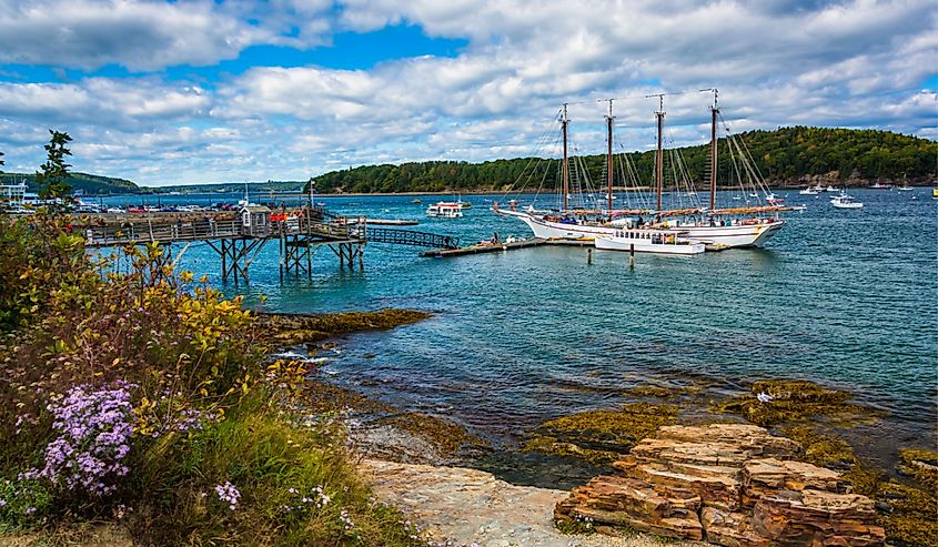 Harbor at Bar Harbor, Maine.
