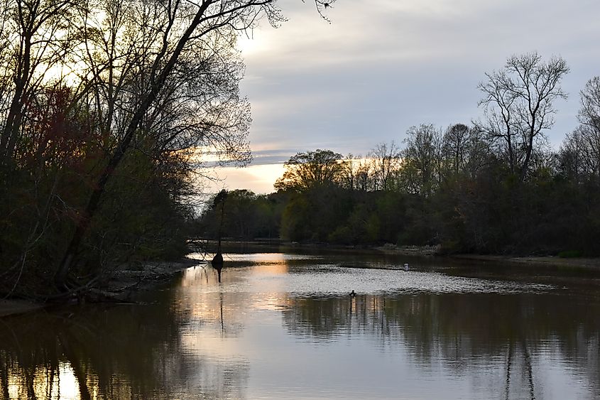 Pearl River viewed from Pelahatchie Bay at sunset