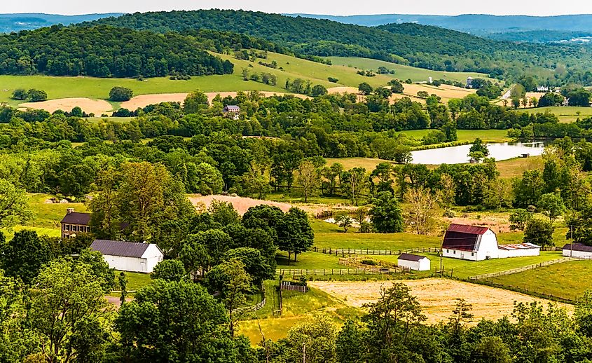 View of hills and farmland in Virginia's Piedmont, seen from Sky Meadows State Park.