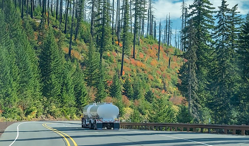Fuel truck driving through vine maple fall foliage along U.S. Route 20 at Santiam Pass in Willamette National Forest, Oregon
