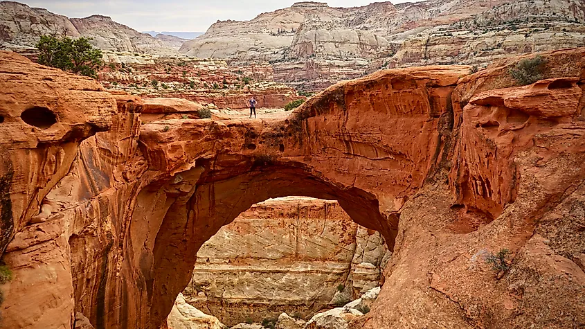 Stunning rock formations in the Capitol Reef National Park