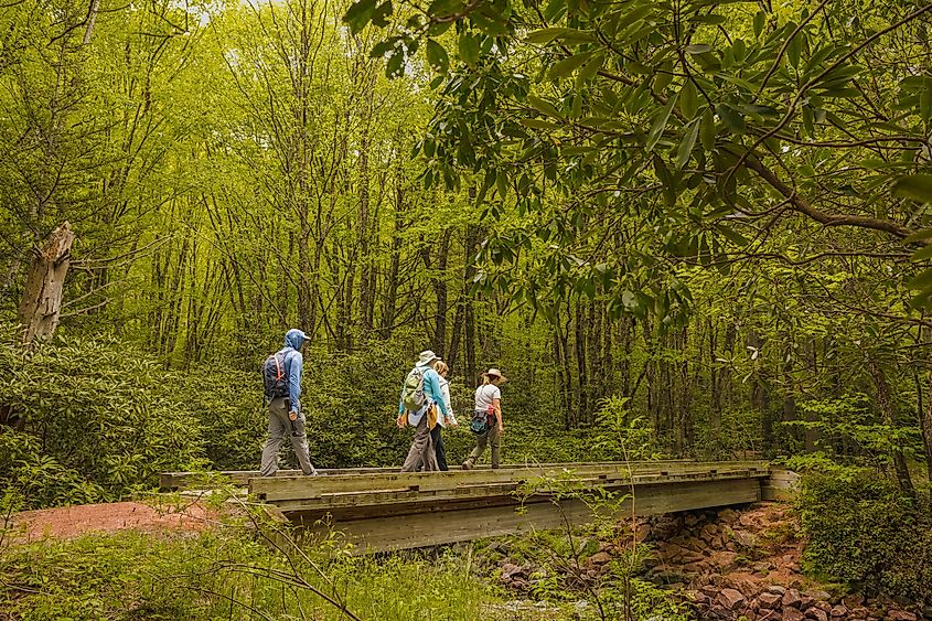 A group of four hikers crossing a wooden bridge in Cashiers, North Carolina. Editorial credit: Kelly Foreman / Shutterstock.com