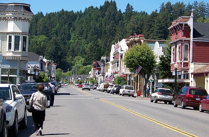 Street in Ferndale, California, USA.