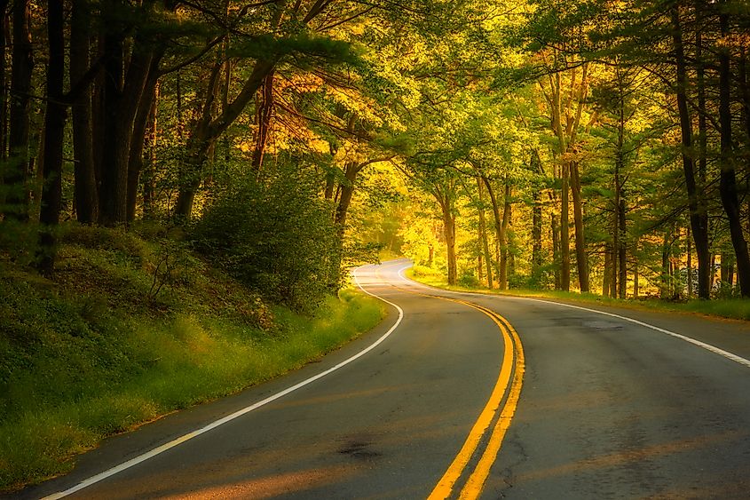  Seven lakes drive road passing through autumn trees featuring beautiful fall colors.