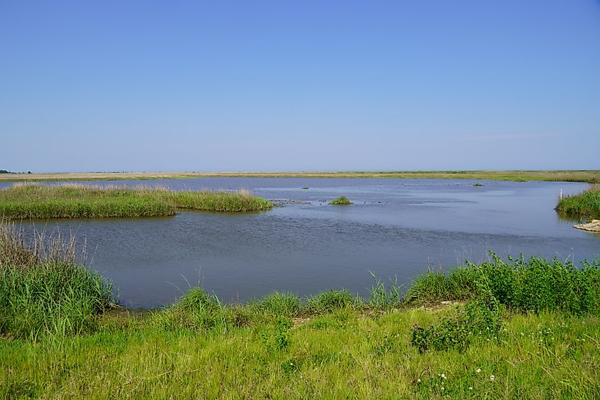 Ted Harvey Wildlife Area near Dover, Delaware