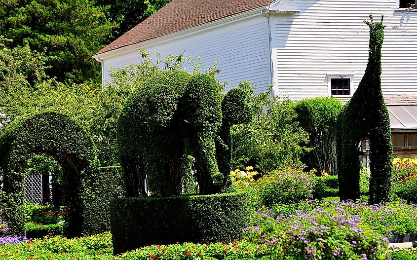 Green Animals Topiary Gardens in Portsmouth, Rhode Island